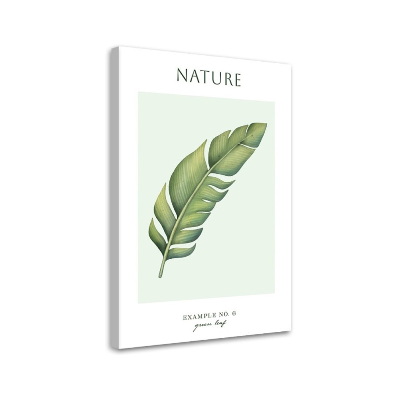 Canvas painting - Green leaf | FEEBY