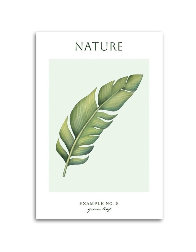 Canvas painting - Green leaf | FEEBY