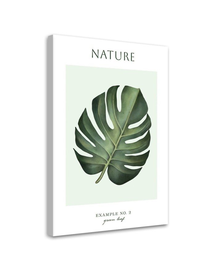 Canvas print Green leaf -...