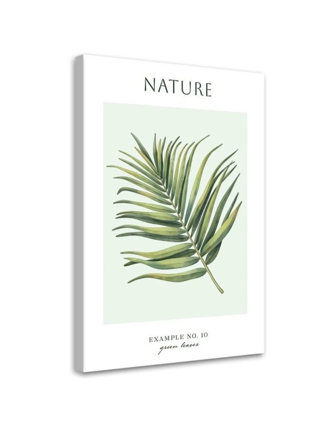 Canvas print Green leaves -...