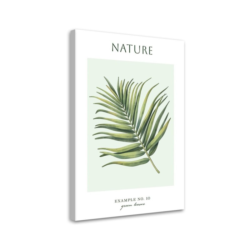 Canvas painting - Green leaf | FEEBY