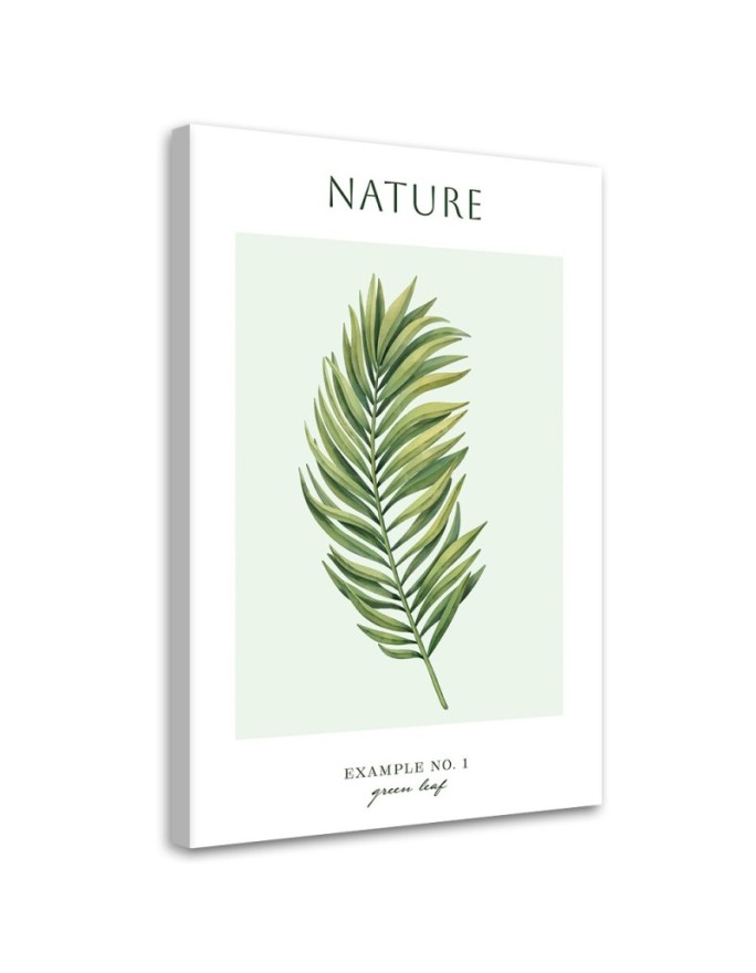 Canvas print Green leaf -...