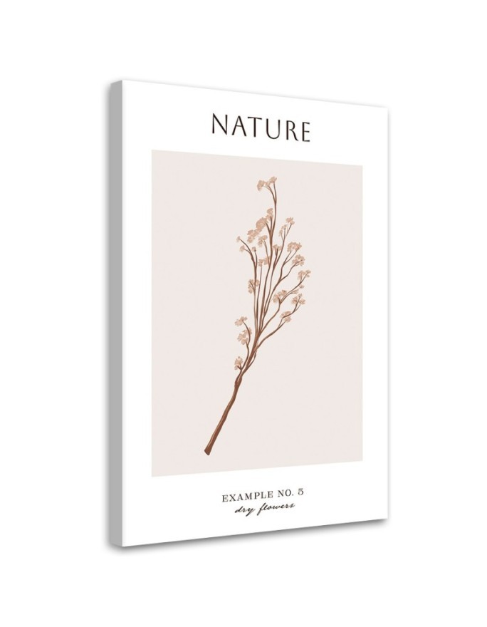 Canvas painting - Dried flower | FEEBY