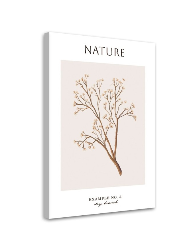 Canvas print Dry twig - Nature