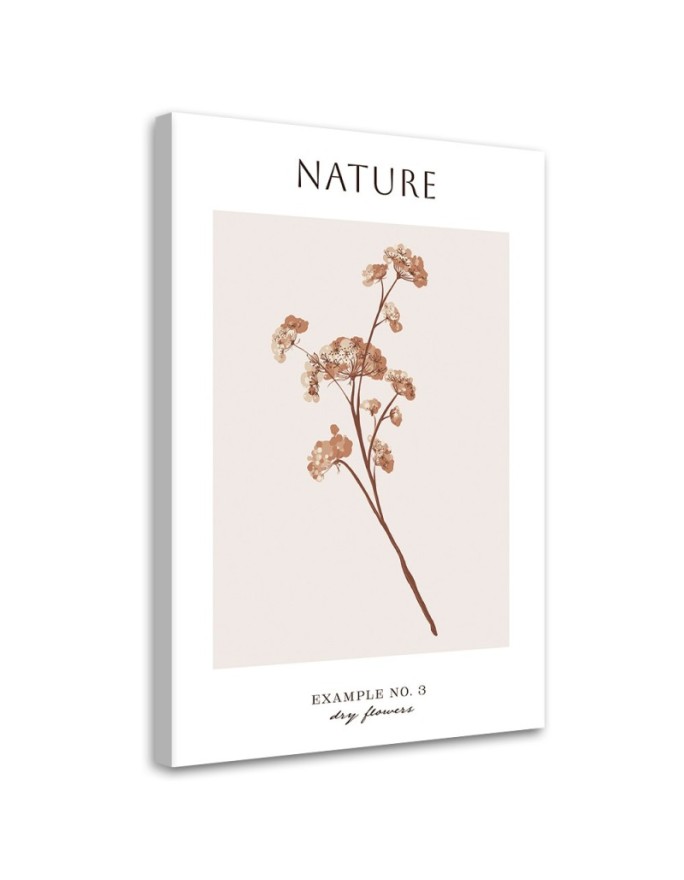 Canvas print Dried flower -...