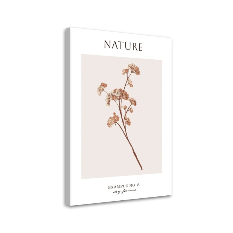 Canvas painting - Dried flower | FEEBY