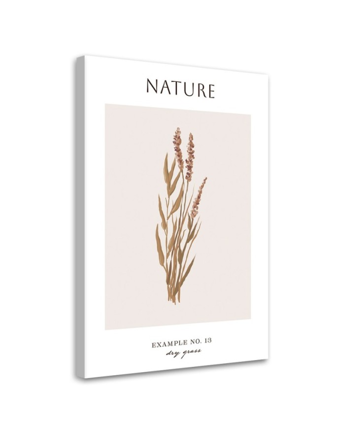 Canvas print Dry grass -...