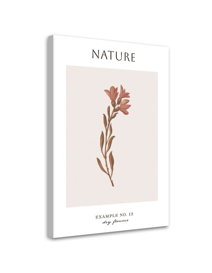 Canvas print Dried flower -...