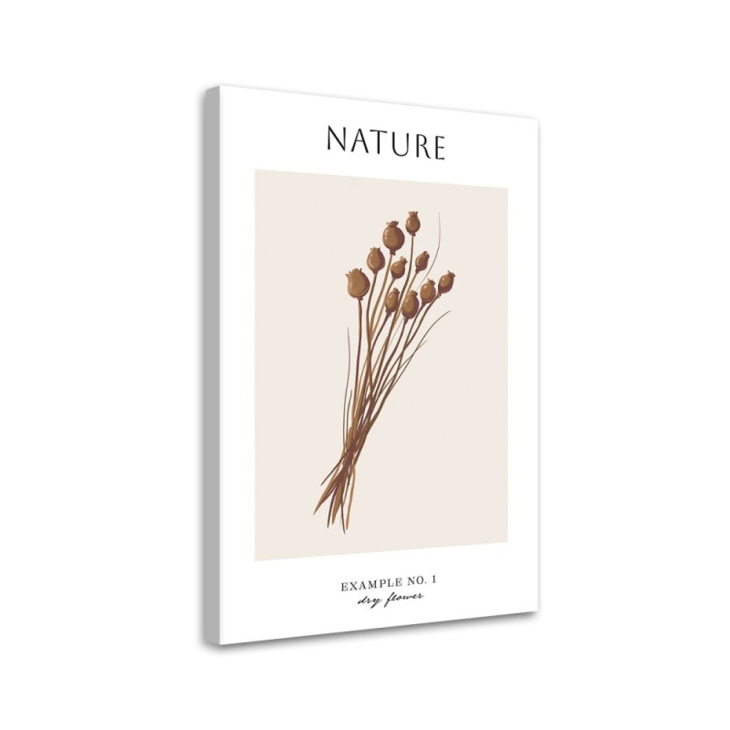 Canvas painting - Dried flower | FEEBY