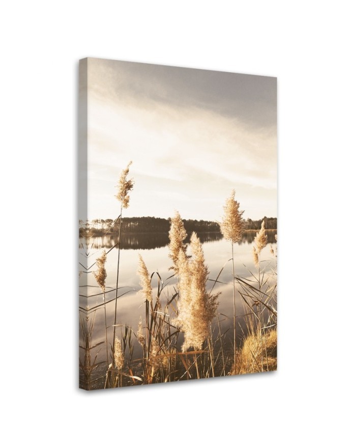 Canvas painting - Pampas grass by the lake | FEEBY