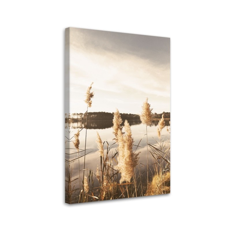 Canvas painting - Pampas grass by the lake | FEEBY