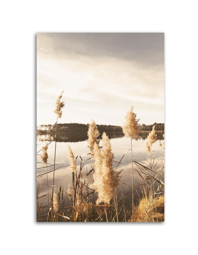 Canvas painting - Pampas grass by the lake | FEEBY