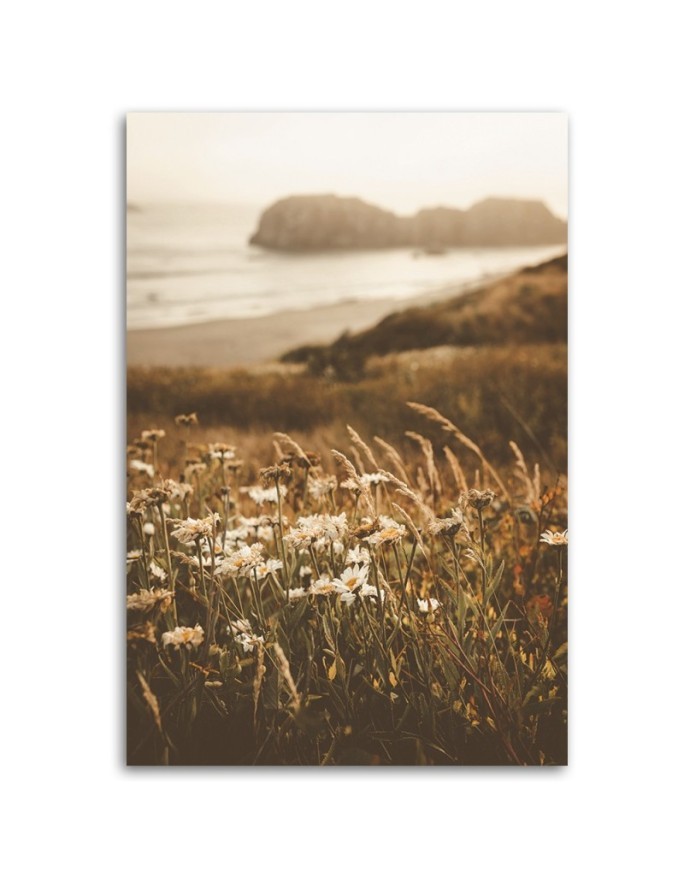 Canvas painting - Flowers on the seashore | FEEBY