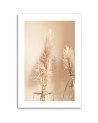 Canvas painting - Pampas grass in a vase | FEEBY