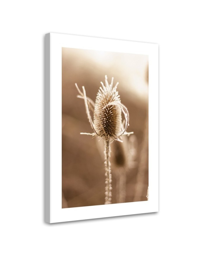 Canvas painting - Macro thistle | FEEBY