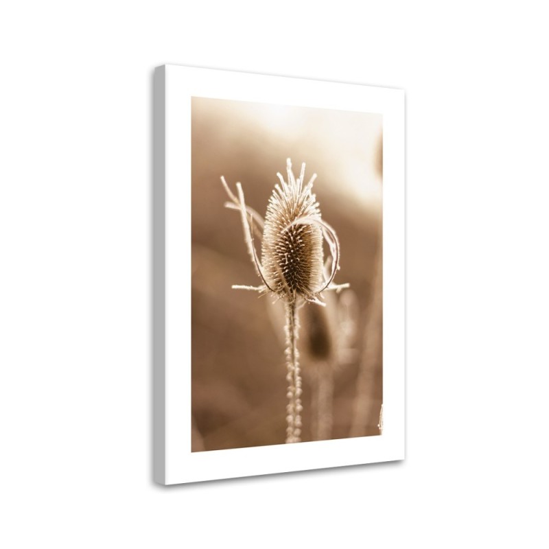 Canvas painting - Macro thistle | FEEBY