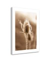 Canvas painting - Macro thistle | FEEBY