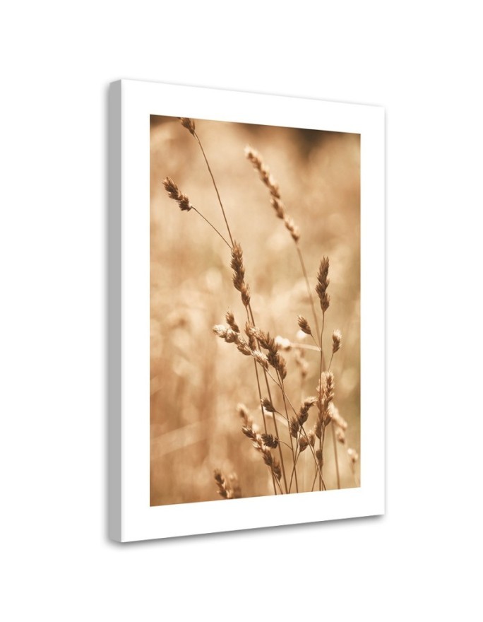 Canvas painting - Grass Nature Meadow | FEEBY