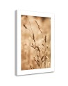 Canvas painting - Grass Nature Meadow | FEEBY