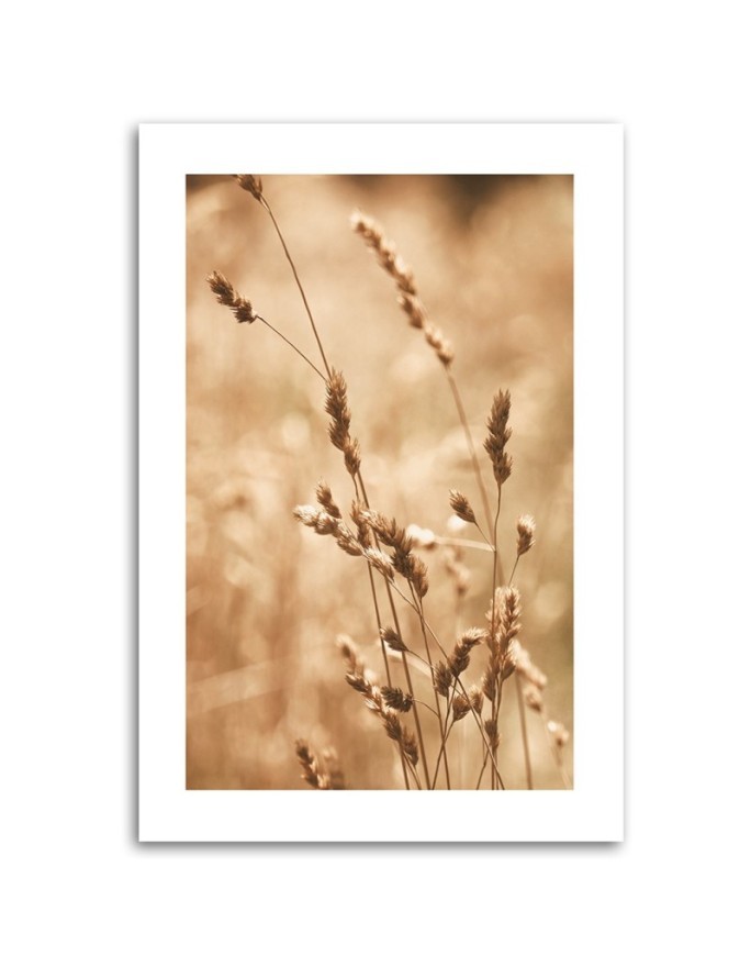 Canvas painting - Grass Nature Meadow | FEEBY