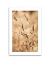 Canvas painting - Grass Nature Meadow | FEEBY