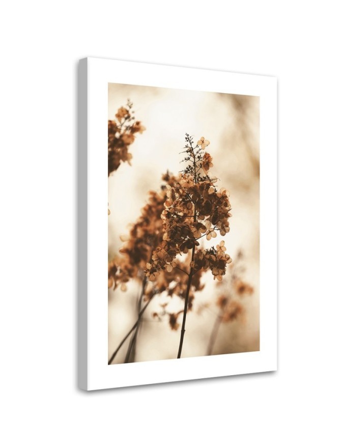 Canvas painting - Withered hydrangea flower | FEEBY
