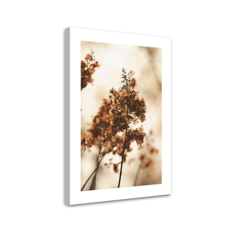 Canvas painting - Withered hydrangea flower | FEEBY