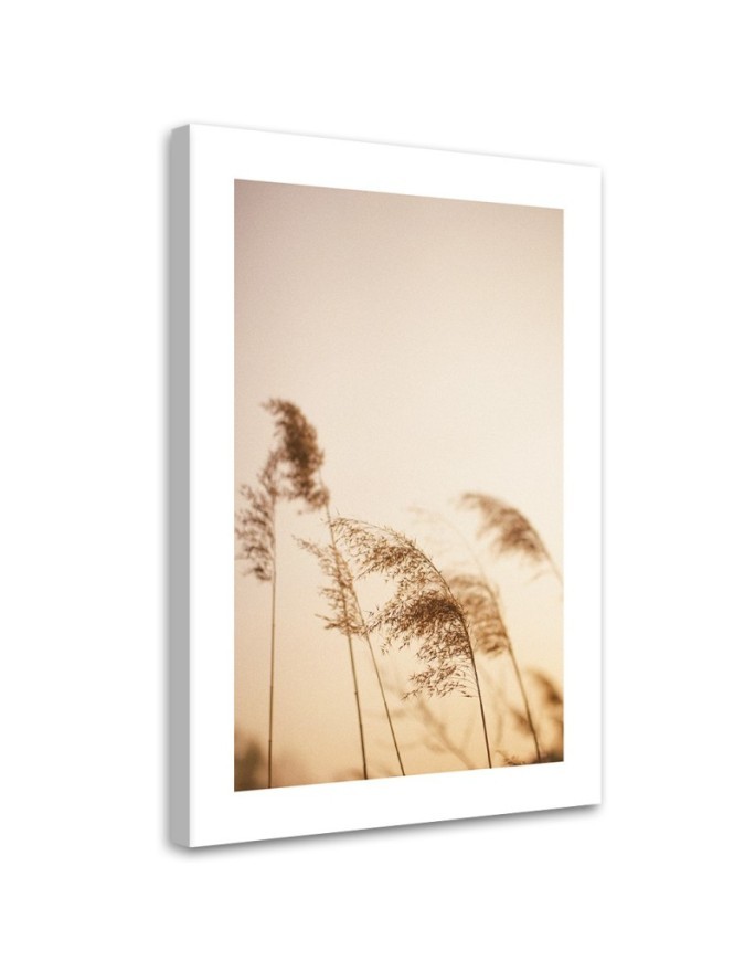 Canvas painting - Beige reed | FEEBY