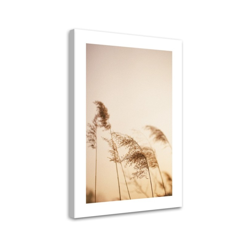 Canvas painting - Beige reed | FEEBY