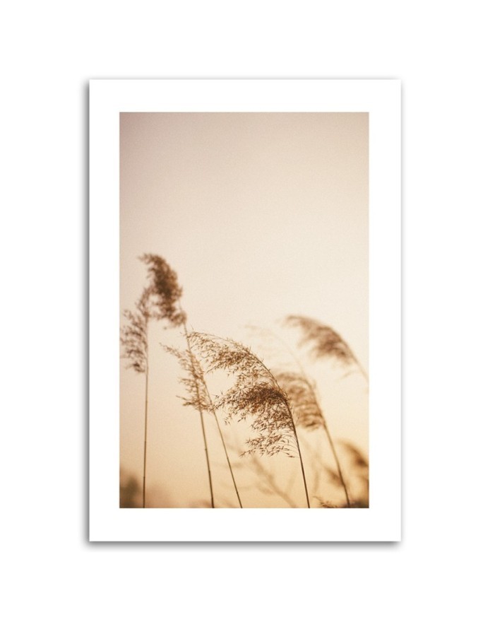 Canvas painting - Beige reed | FEEBY