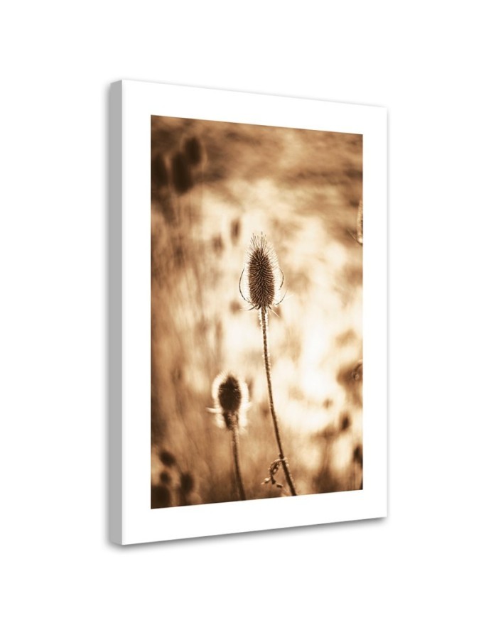 Canvas painting - Dried plants | FEEBY