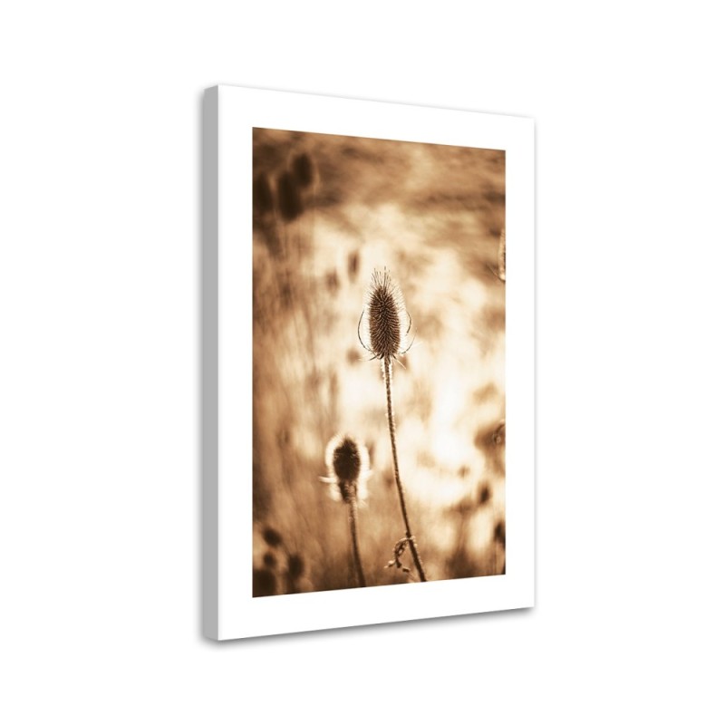 Canvas painting - Dried plants | FEEBY
