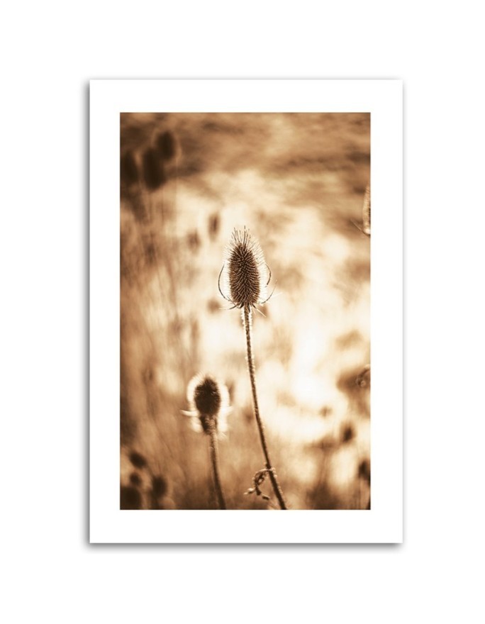 Canvas painting - Dried plants | FEEBY