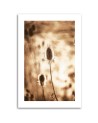 Canvas painting - Dried plants | FEEBY
