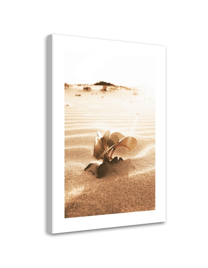Canvas painting - Plant in the desert | FEEBY