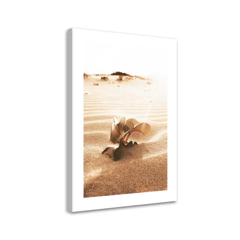 Canvas painting - Plant in the desert | FEEBY