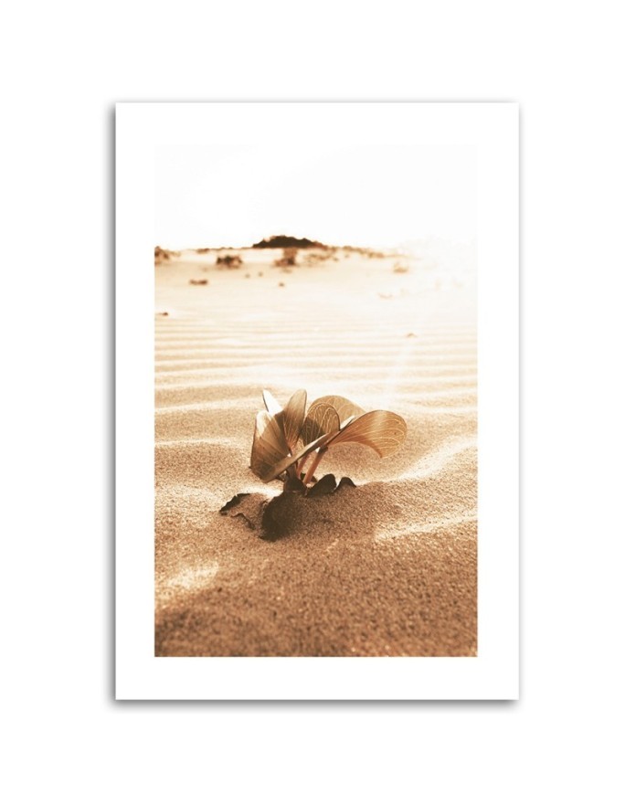 Canvas painting - Plant in the desert | FEEBY