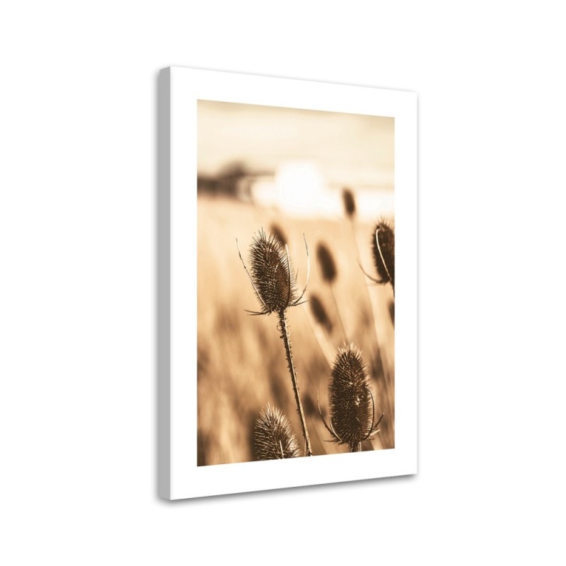 Canvas painting - Dried thistle | FEEBY