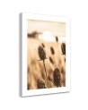Canvas painting - Dried thistle | FEEBY