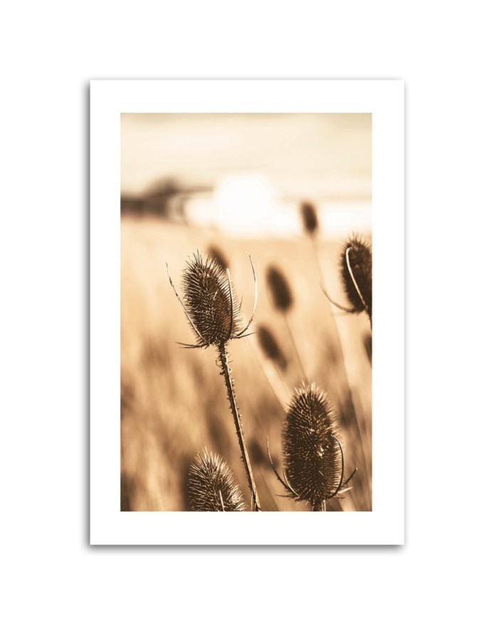 Canvas painting - Dried thistle | FEEBY