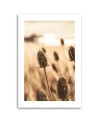 Canvas painting - Dried thistle | FEEBY
