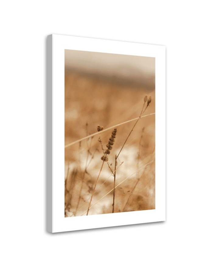 Canvas painting - Delicate boho grass | FEEBY