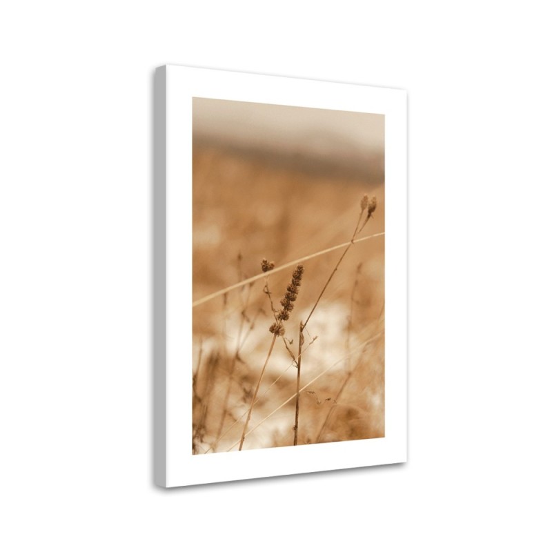Canvas painting - Delicate boho grass | FEEBY