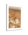 Canvas painting - Delicate boho grass | FEEBY