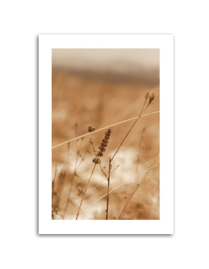 Canvas painting - Delicate boho grass | FEEBY