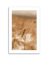 Canvas painting - Delicate boho grass | FEEBY