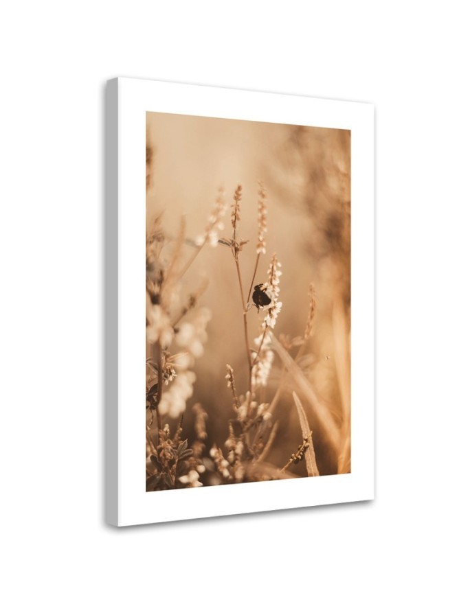 Canvas painting - Beige field flowers | FEEBY
