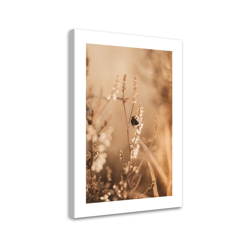 Canvas painting - Beige field flowers | FEEBY