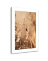 Canvas painting - Beige field flowers | FEEBY