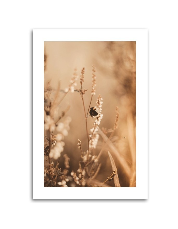 Canvas painting - Beige field flowers | FEEBY